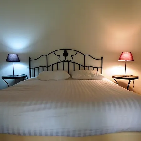 Terre De Sel * Grimaud