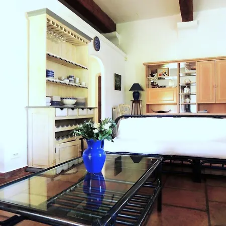 Terre De Sel * Grimaud